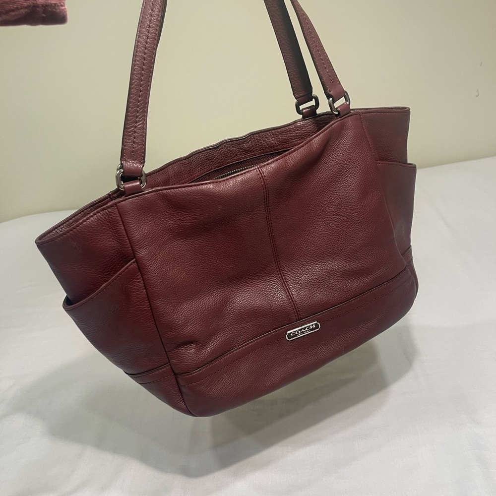 Coach Sienna Park Carrie Brown Hobo bag  F23284
